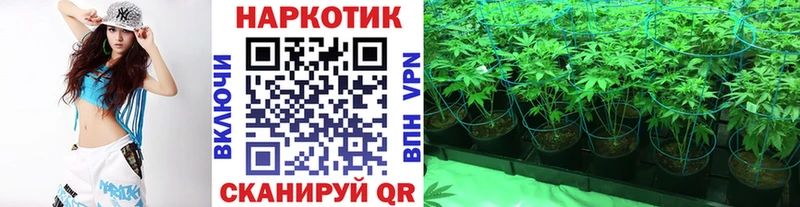 Купить наркоту Лянтор APVP АМФ ГАШ Канабис Меф