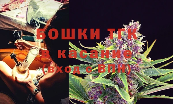 крисы Лагань