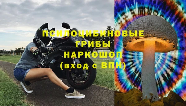 COCAINE Инсар