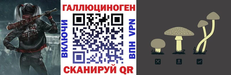 закладки  Лянтор  Галлюциногенные грибы Psilocybine cubensis 