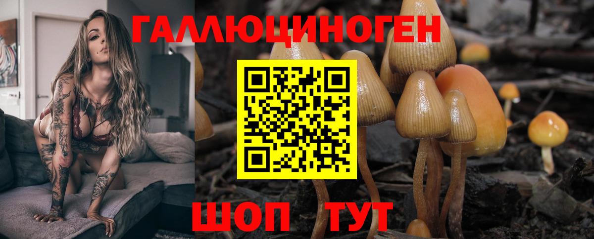 Галлюциногенные грибы прущие грибы  Вход с VPN  Лянтор 